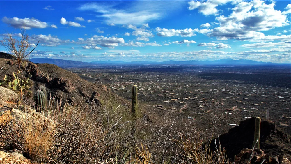 Catalina Foothills